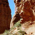 canyon5